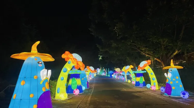 花燈觀瀾山水田文化園+奇幻夜8大演藝