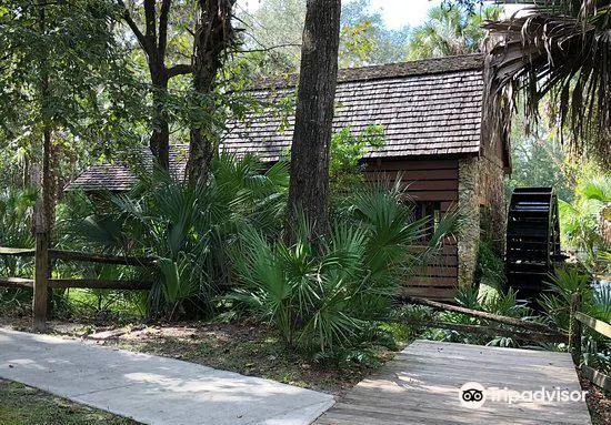 Ocala National Forest