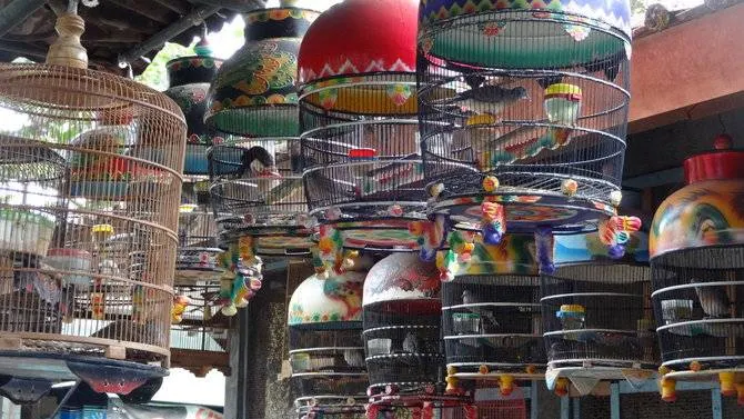 Tempat Wisata di Jogja - Pasar Ngasem