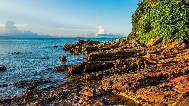 Trip.comを利用して深圳旅行を計画しよう！