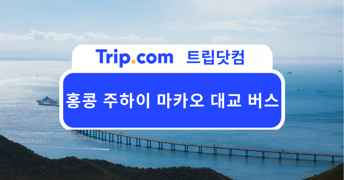 홍콩 주하이 마카오 대교 버스 노선, 요금, 탑승 방법 총정리 | 트립닷컴