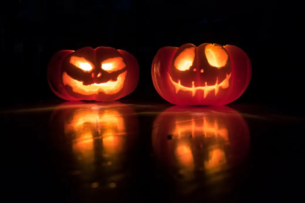 Pumpkin Twins Source: Bekir Dönmez / unsplash