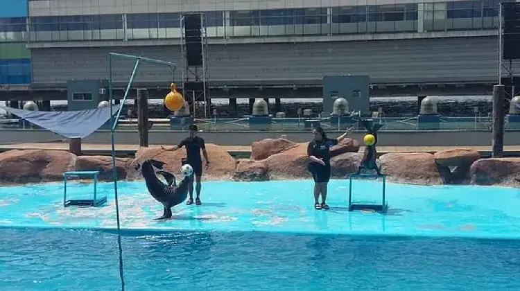 3. マニラオーシャンパーク