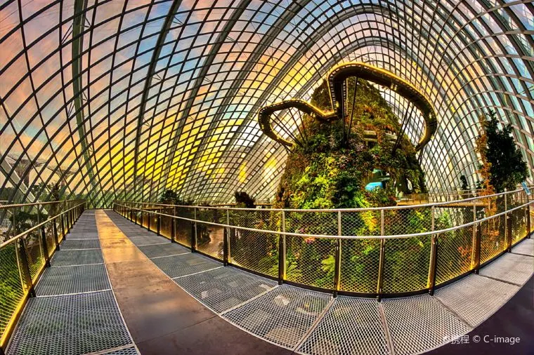 Best Time to Visit Gardens By the Bay