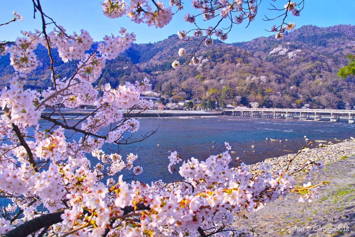 京都景點－嵐山