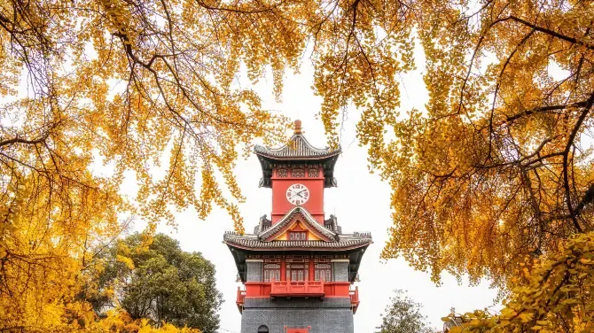 Jinjiang District (Near Sichuan University)