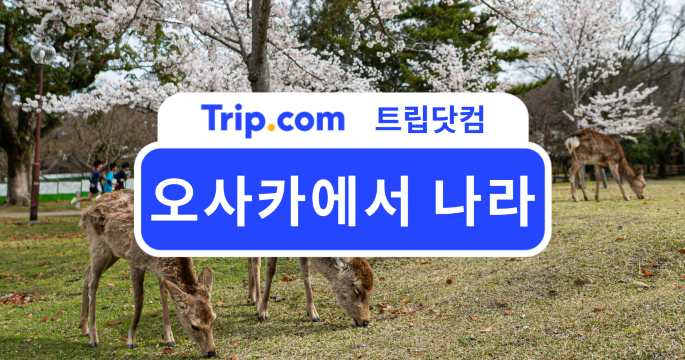 오사카에서 나라 가는 법부터 추천 코스까지 한눈에 정리 | 트립닷컴