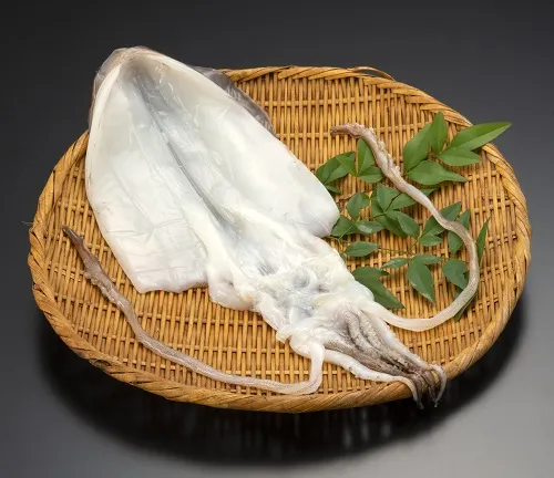 16.あおりいか一夜干し