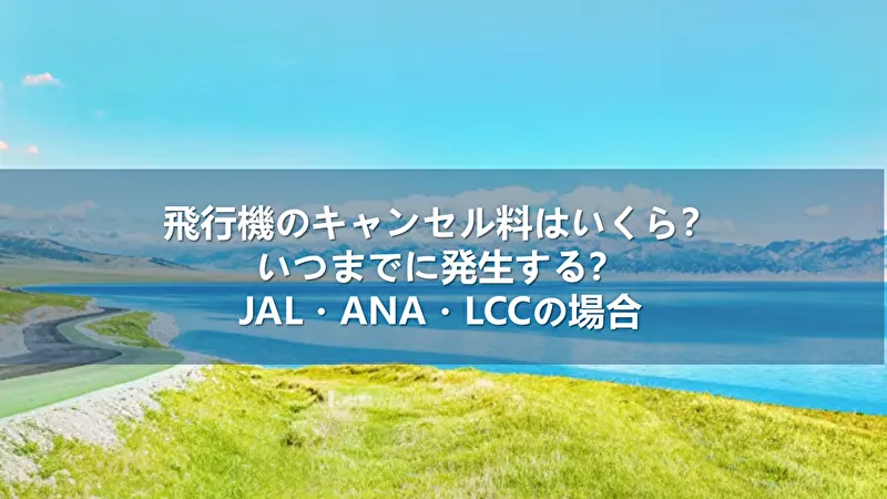 飛行機のキャンセル