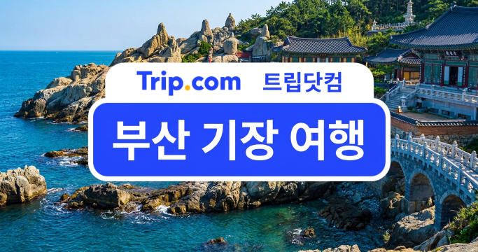 부산 기장 여행 1박 2일 코스 총정리 | 트립닷컴