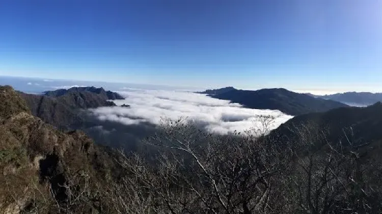 ひとり旅で宮崎に行ったらやりたい5つのこと