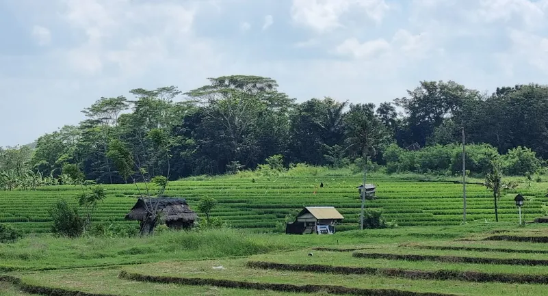 Tempat Wisata Canggu-Uma Desa Canggu