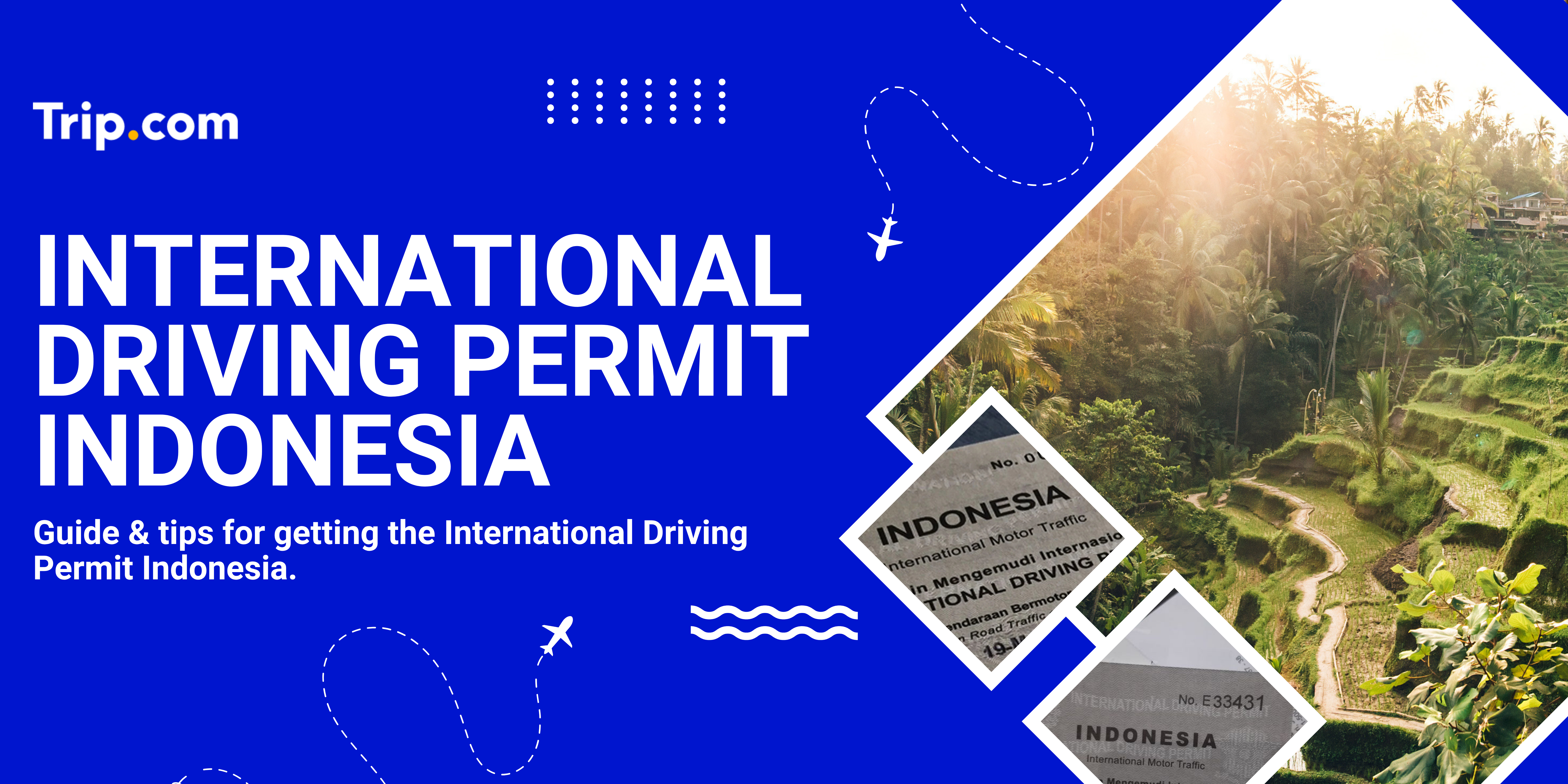 Indonesia International Driving Permit Application Guide