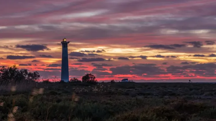 Trip.comの格安航空券で沖縄へ行こう！
