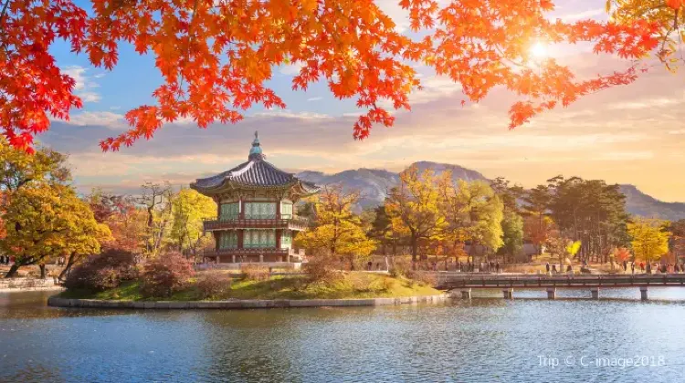 Best Things to Do in Seoul