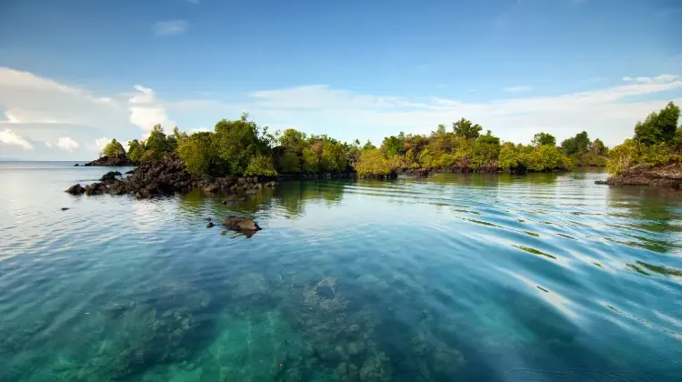 最新！パラオの治安・安全に関する情報