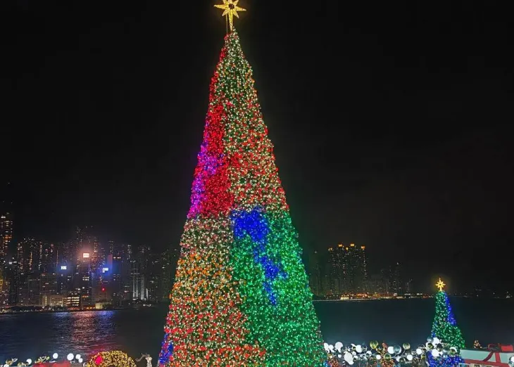 Christmas tree by the seaside