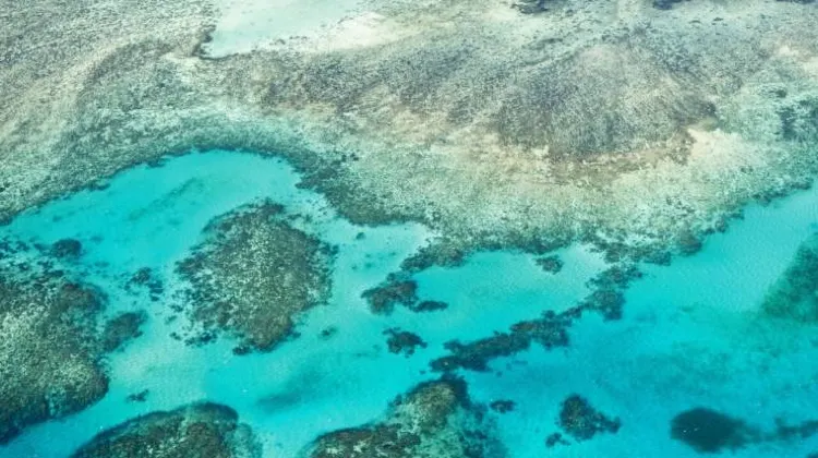 グレート・バリア・リーフ