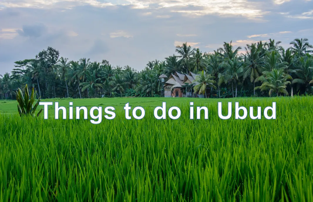 Things to do in Ubud