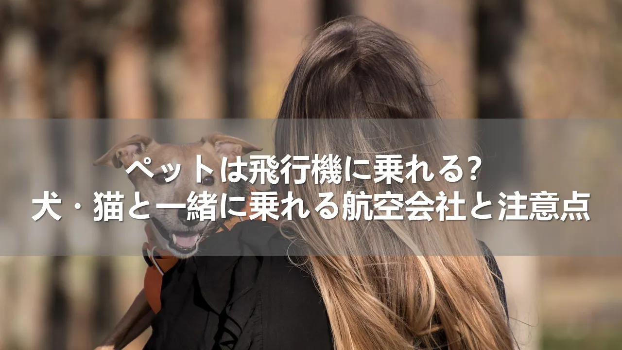 ペットは飛行機に乗れる？犬・猫と一緒に乗れる航空会社と注意点