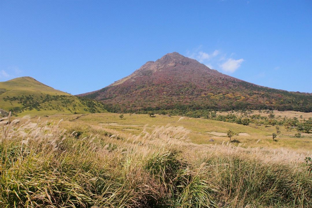 【由布岳】紅葉の見頃は10月下旬~11月下旬