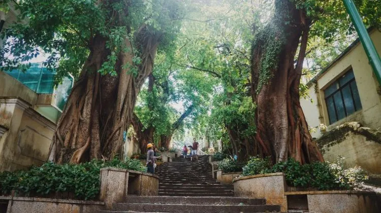 マカオ旅行はひとり旅こそおもしろい！