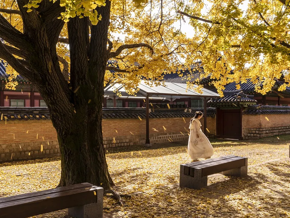 Climate in South Korea