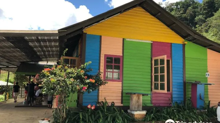 Superior Honey Bee Farms in Cameron Highlands