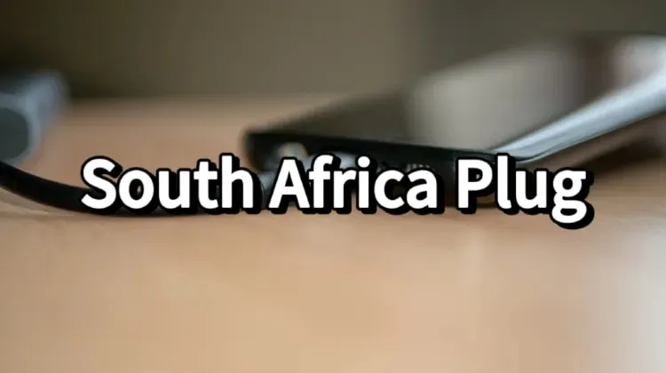 Южноафриканская розетка