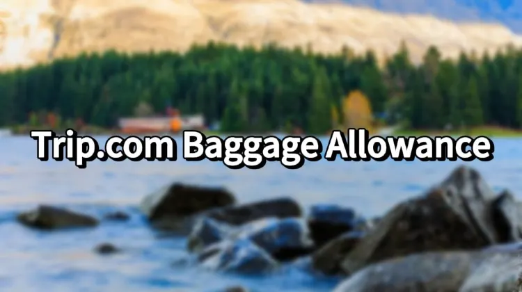Trip.com Baggage Allowance