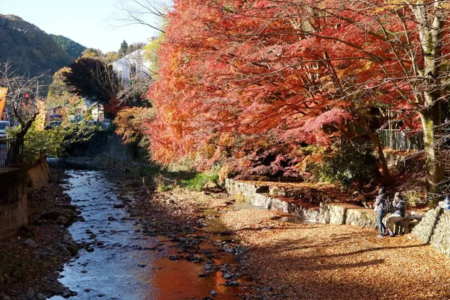 Best Time to Visit Japan: Best Time to Visit Japan for Good Weather