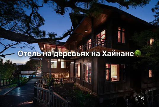 Отель на деревьях на Хайнане: где пожить среди тропического леса