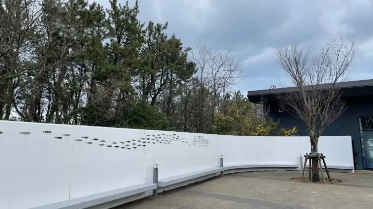 女子ひとり旅の新潟旅行で注意するべき3つのこと