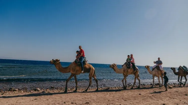 エジプトの女子ひとり旅で注意したい3つのこと