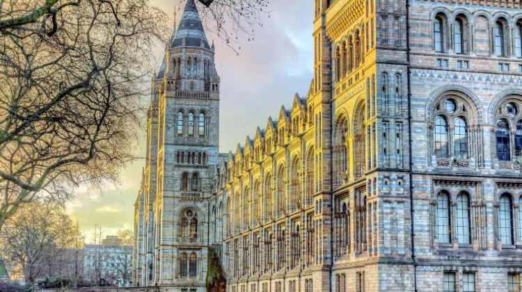 ロンドンのひとり旅でよくある質問