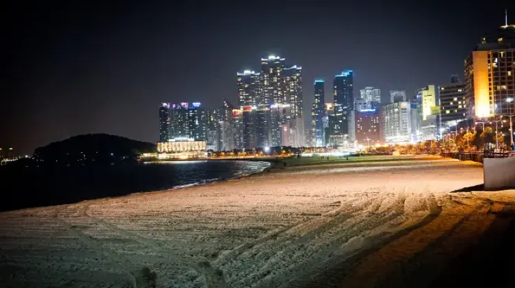 大邱から釜山への鉄道チケットならTrip.comで予約！