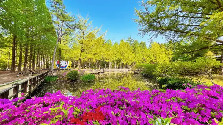 3.南怡島｜春川