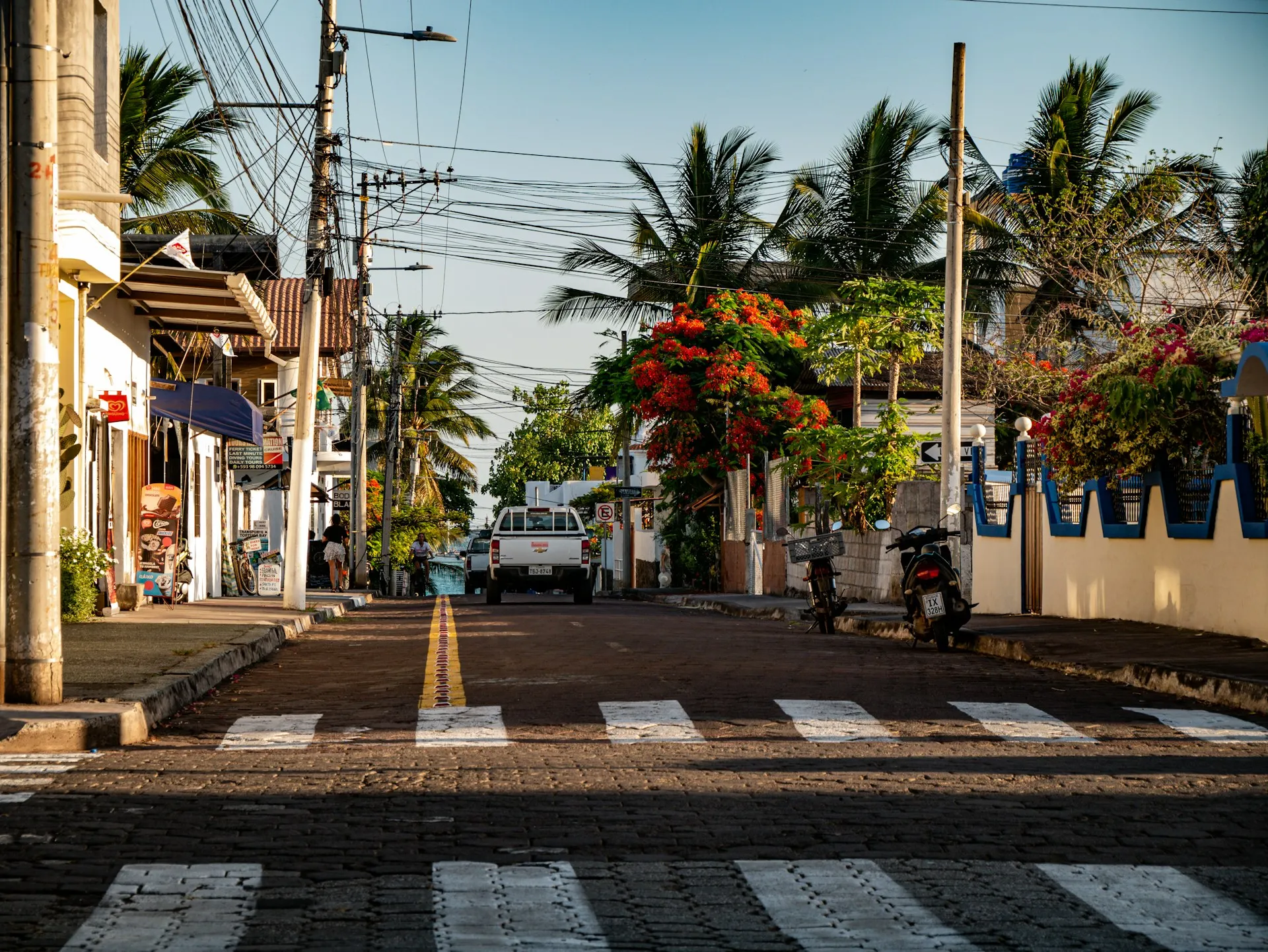 ガラパゴス諸島