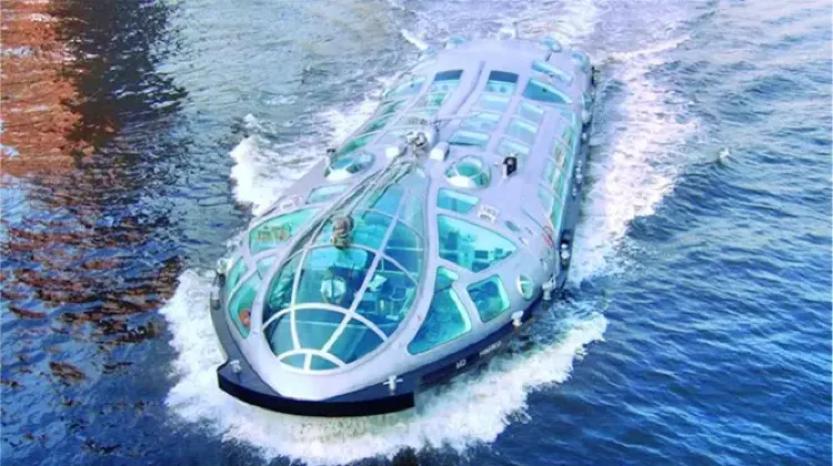 Top 20 Best Things to Do in Tokyo