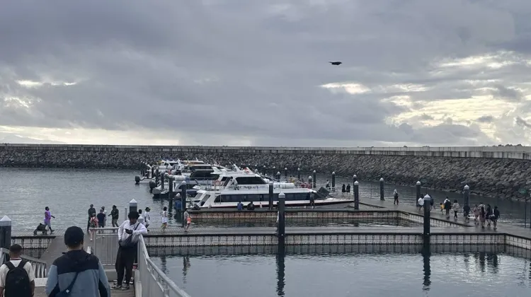 How to Get Around Nusa Penida