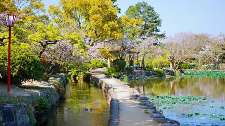 佐賀のお土産選びでよくある質問