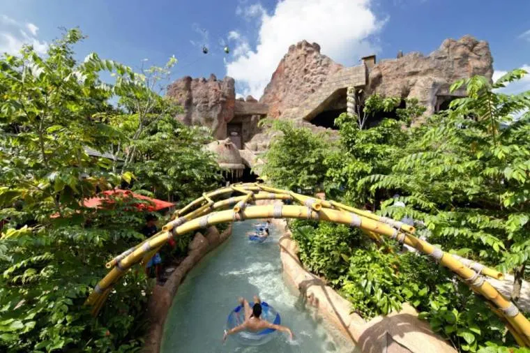 Tips For Exploring Adventure Cove Waterpark