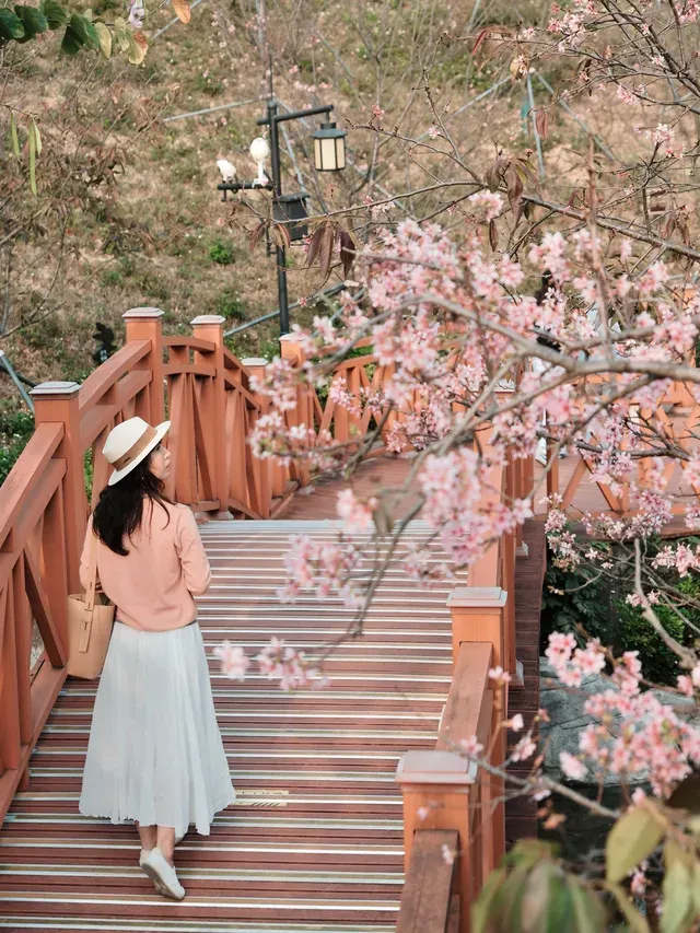 赤灣華英路景觀公園