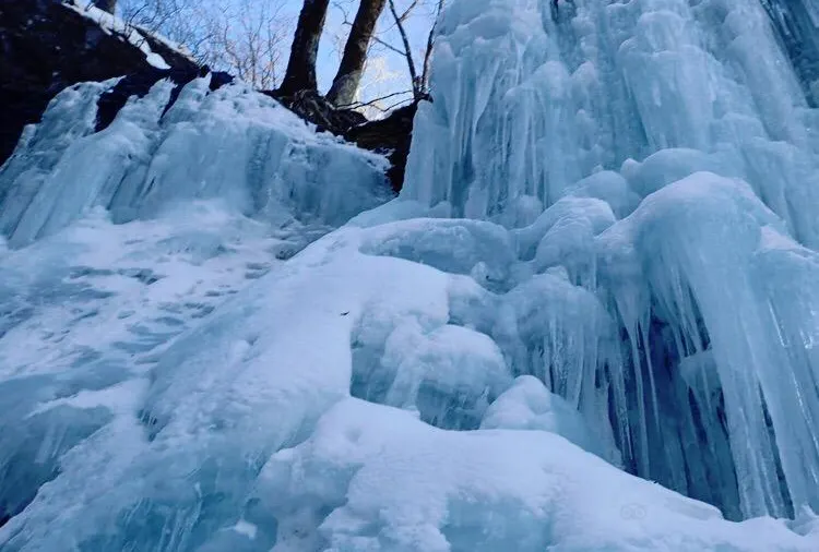Winter Wanderlust Roaming Weather in Japan in December 2025