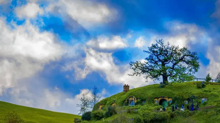 最新！ニュージーランドの治安に関する情報