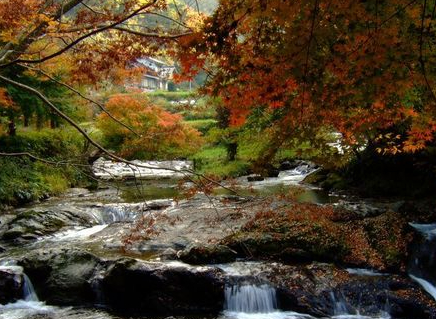 【八重滝】紅葉の見頃は10月下旬~11月中旬