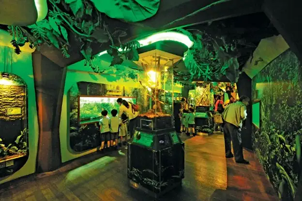 Tourists looking at exhibits in Aquaria KLCC