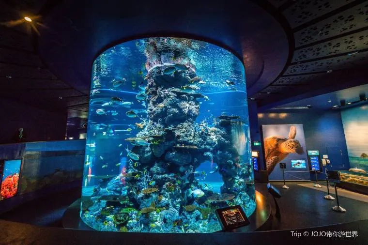 10.シー・アクアリウム