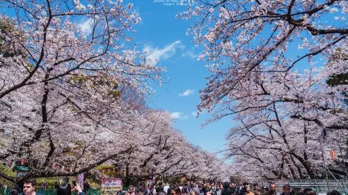 Tokyo