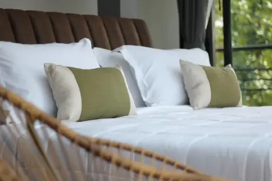 แคนวาส แฟมิลี่ โฮม(Canvas Family Home)